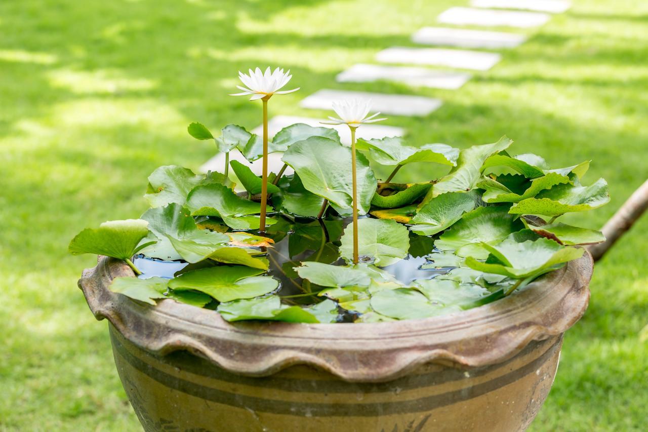 Baan Suaan Serenity Laem Sor Ngoại thất bức ảnh